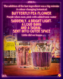 RAINBOW MECH-APOCALYPSE Floral Springtime Gin & Tote Bag